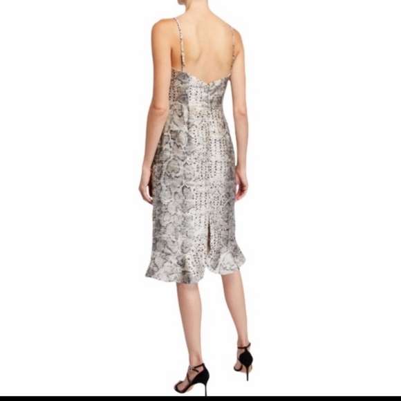 HUTCH Snakeskin Dress Spaghetti Straps Ruf… - Picture 2 of 8